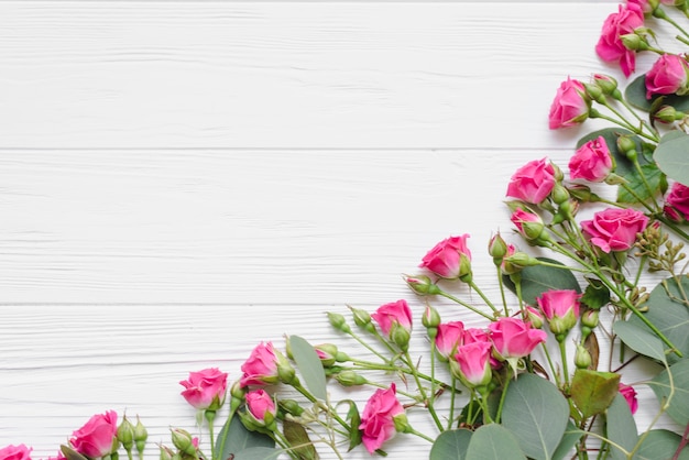 Composição de flores bonitas em branco