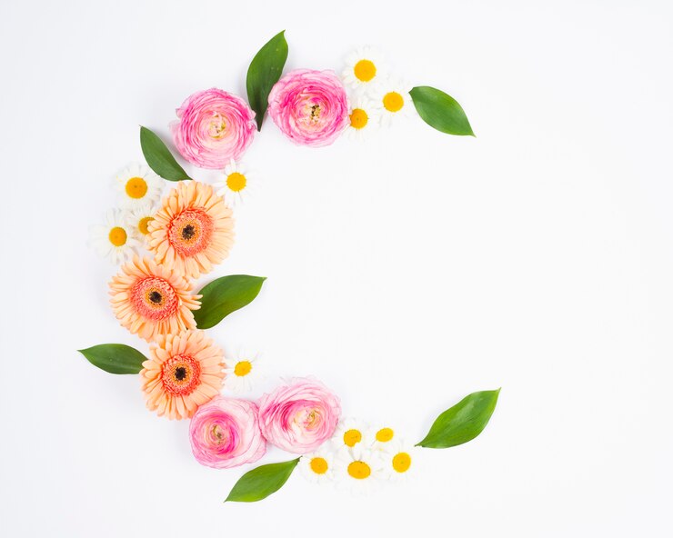 Foto grátis composição de flores brilhantes em forma crescente