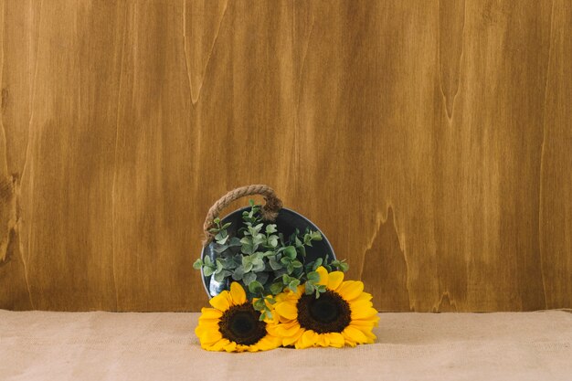 Composição de flores com plantas em balde