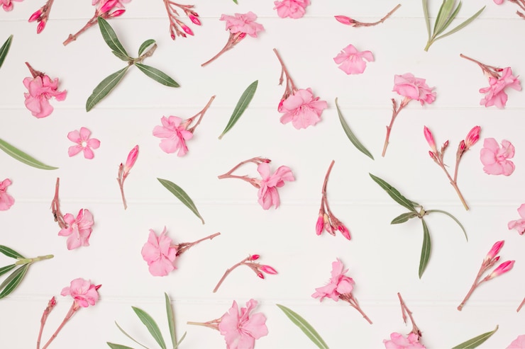 Foto grátis composição de flores e plantas rosas bonitas