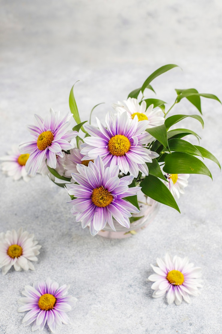 Foto grátis composição de flores para cartão de primavera.
