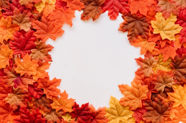 Composição de folhas de outono com moldura de bordas naturais