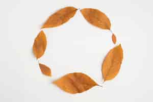 Foto grátis composição de folhas de outono formando círculo