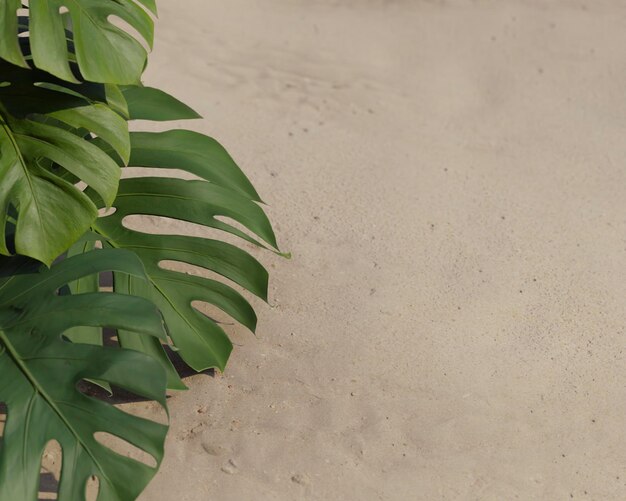 Composição de folhas de palmeira verde 3D