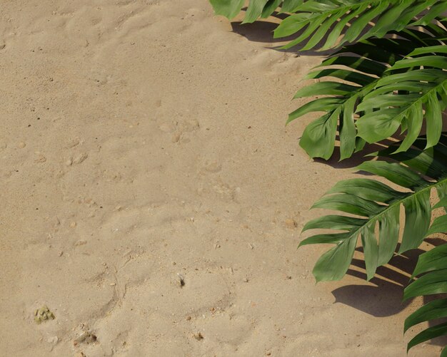 Composição de folhas de palmeira verde 3D