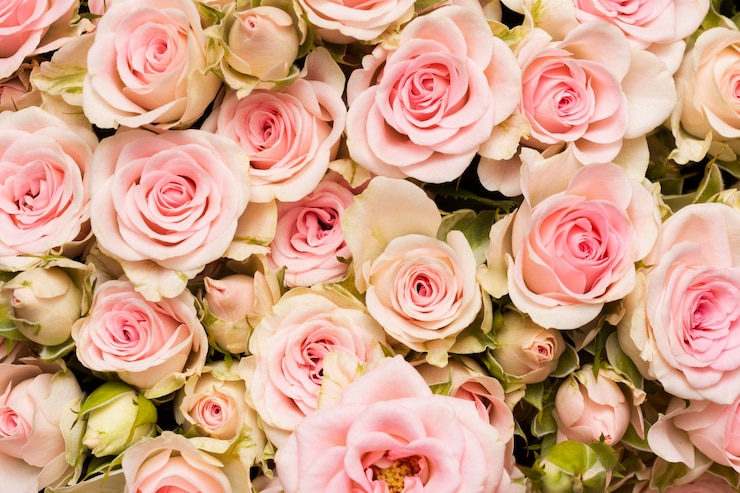 Foto grátis composição de fundo de lindas flores