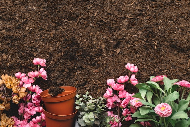 Composição de jardinagem com espaço no topo