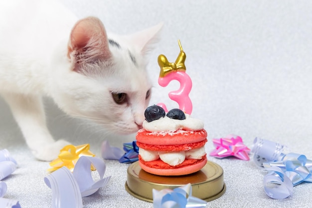 Composição de macaron de bolo com gato número três nas fitas de bolo e fundo prateado brilhante