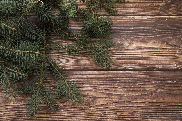 Composição de Natal de galhos de árvore do abeto