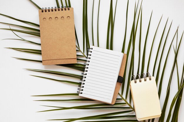 Composição de papelaria de material natural