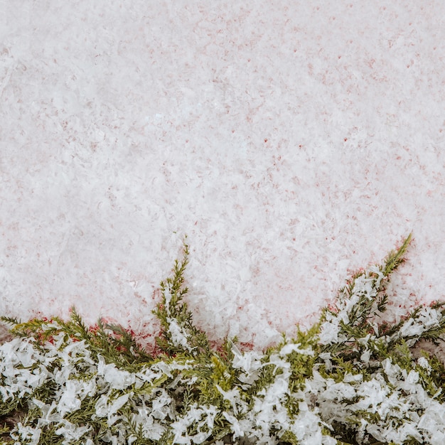 Composição do Inverno