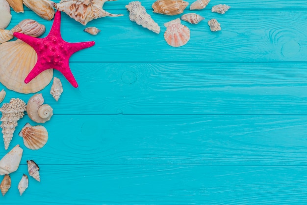 Foto grátis composição do verão com seashells e estrela do mar roxa