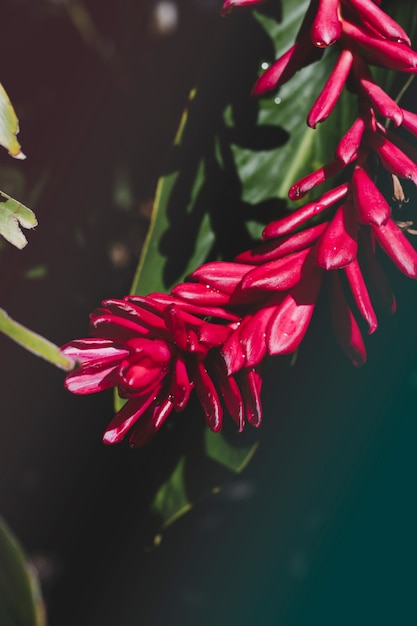 Composição floral com estilo elegante