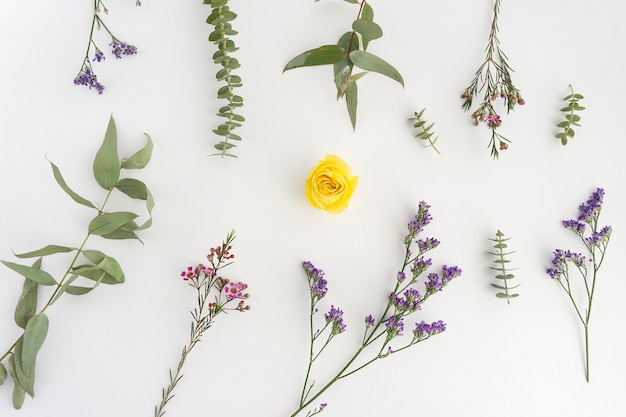 Composição floral com flor amarela