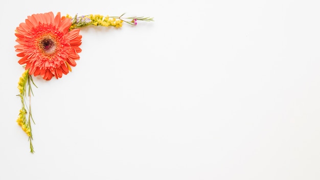 Foto grátis composição floral com gerbera