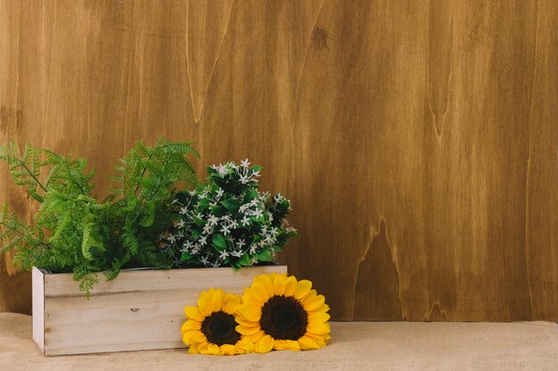 Composição floral com girassóis