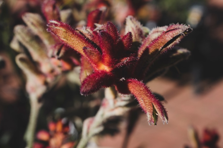 Foto grátis composição floral moderna com estilo elegante