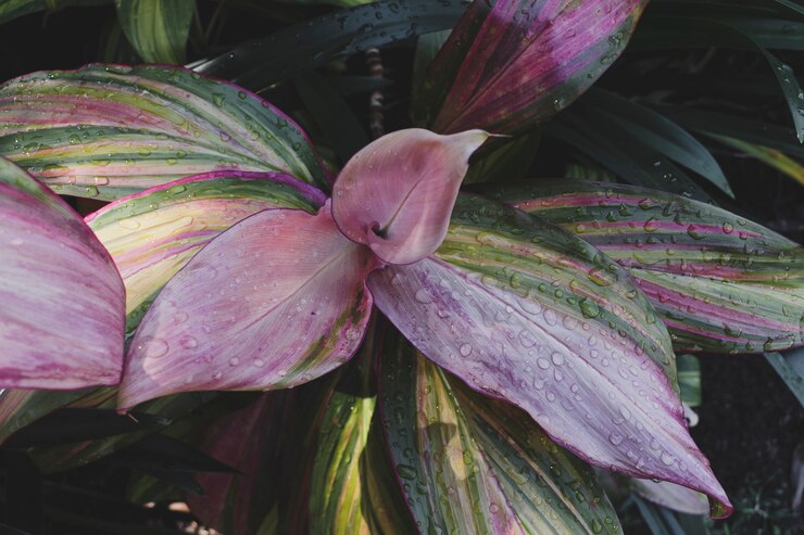 Foto grátis composição floral moderna com estilo elegante