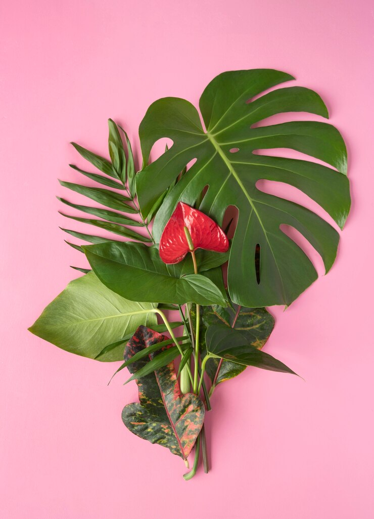 Foto grátis composição mínima de folhas tropicais da vista superior