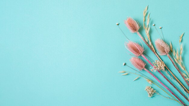 Composição minimalista de planta natural em fundo monocromático