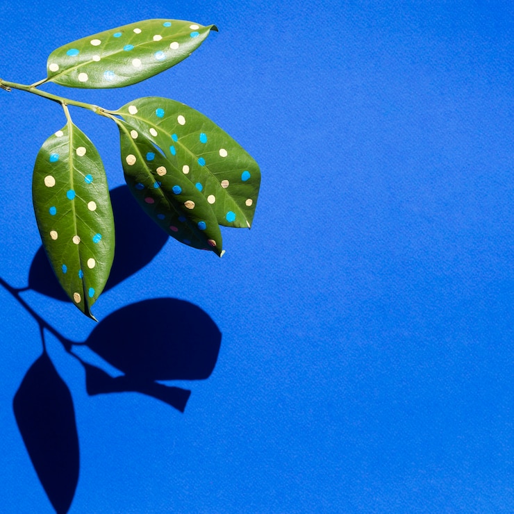 Foto grátis conceito de belas folhas pintadas com sombras e espaço para texto