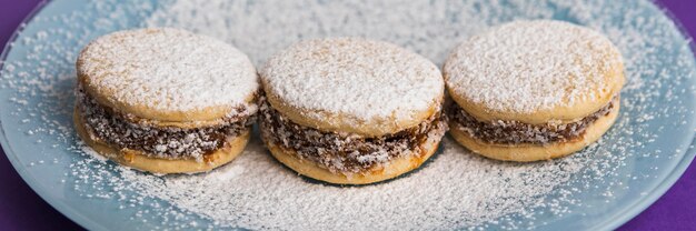 Conceito de biscoito delicioso de alfajores