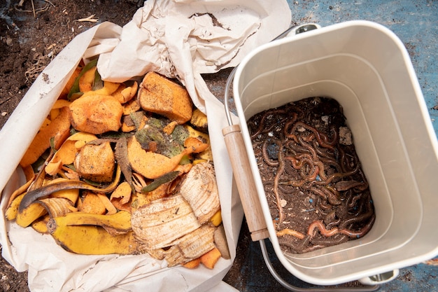 Foto grátis conceito de compostagem de natureza morta