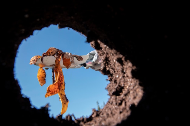 Foto grátis conceito de compostagem de natureza morta