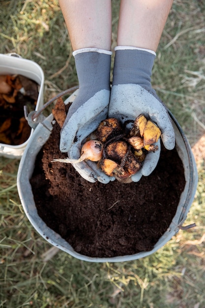 Foto grátis conceito de compostagem de natureza morta