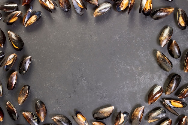 Conceito de conchas de mexilhão com espaço de cópia