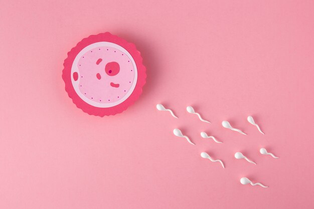 Conceito de fertilidade plana com fundo rosa