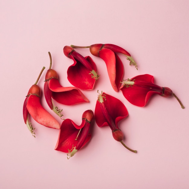 Foto grátis conceito de flores encantadoras com estilo elegante