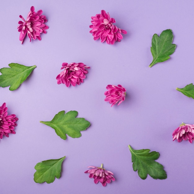 Conceito de flores encantadoras com estilo elegante