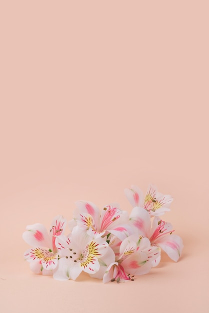 Foto grátis conceito de flores encantadoras com estilo elegante