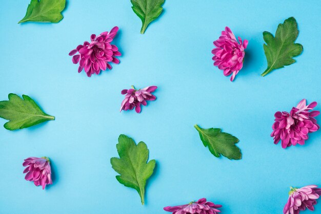 Conceito de flores modernas com estilo elegante