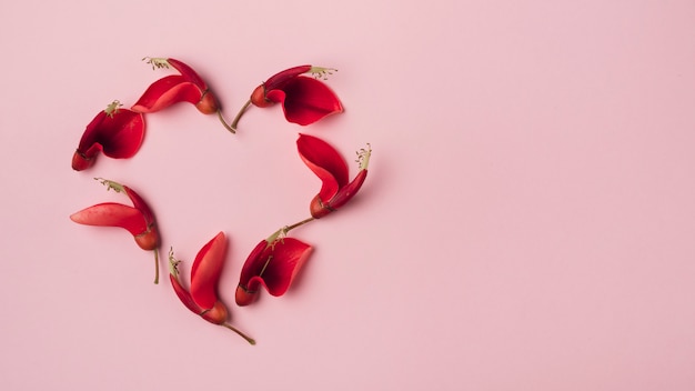 Foto grátis conceito de flores modernas com estilo elegante