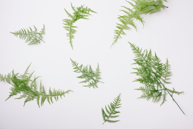 Foto grátis conceito de flores modernas com estilo elegante