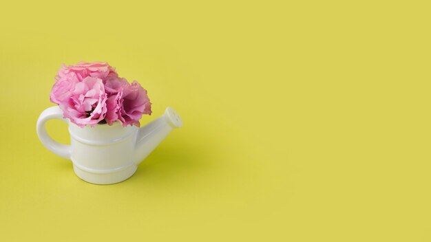 Conceito de flores modernas com pote de rega