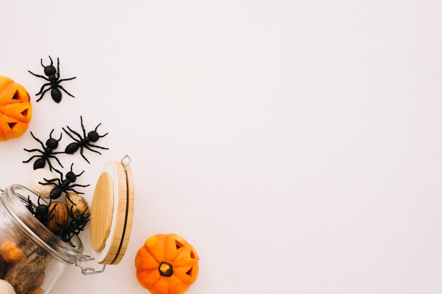 Conceito de Halloween com formigas e espaço à direita