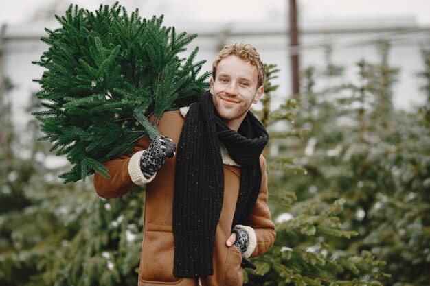 Conceito de inverno. Cara com um casaco marrom. Vendedor de Árvore de Natal.