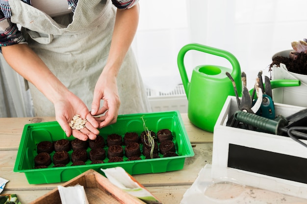 Conceito de jardinagem com mãos femininas