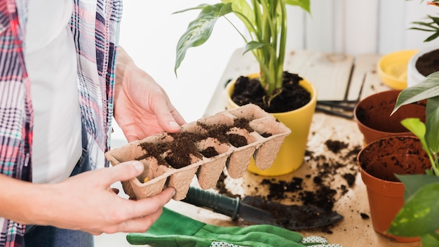 Foto grátis conceito de jardinagem com mãos femininas