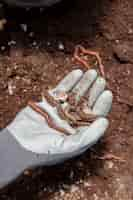 Foto grátis conceito de natureza morta de compostagem com minhocas