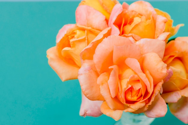Conceito de pétalas de rosa laranja close-up