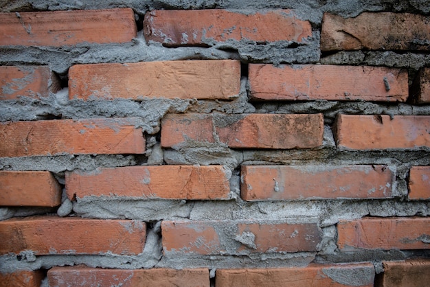 Foto grátis conceito de planos de fundo e texturas - textura de madeira ou plano de fundo