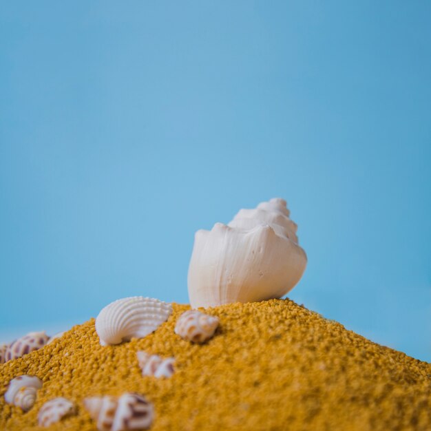 Conceito de praia com concha na colina de areia