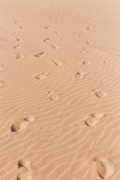 Foto grátis conceito de praia com marcas de pé