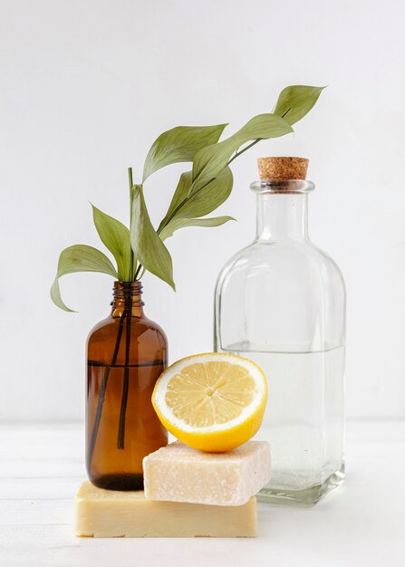 Conceito de produtos de limpeza ecológica