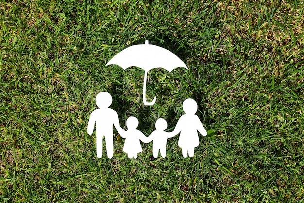 Conceito de proteção familiar dos direitos familiares da família saúde da família