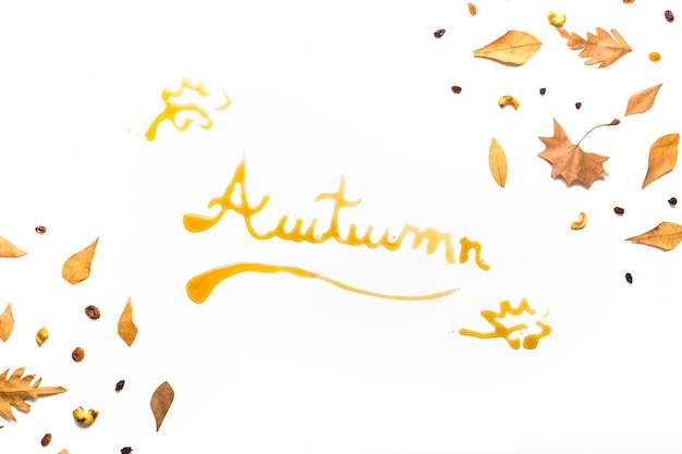 Conceito de sinal de outono no quadro de folhas